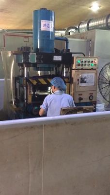 nanjing Rubber Punching Machine